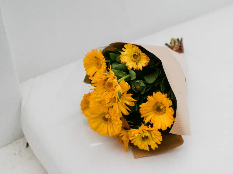 Bodyguard Matratze - die besten 5 im Vergleich