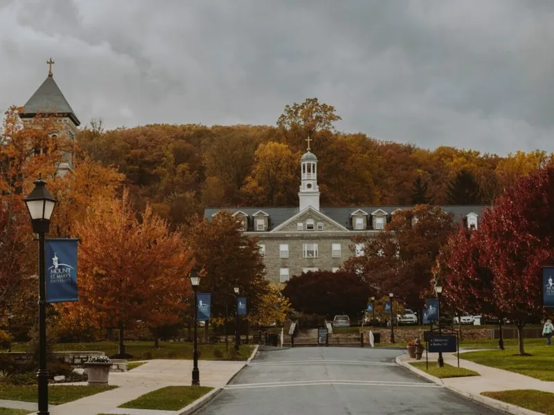 BWL in den USA studieren