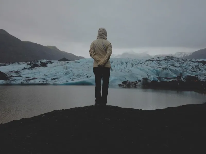 Hoodie Jacke - die besten 5 im Vergleich