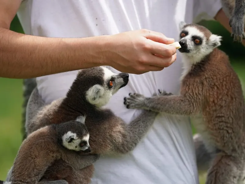 Freiwilligenarbeit in Madagaskar