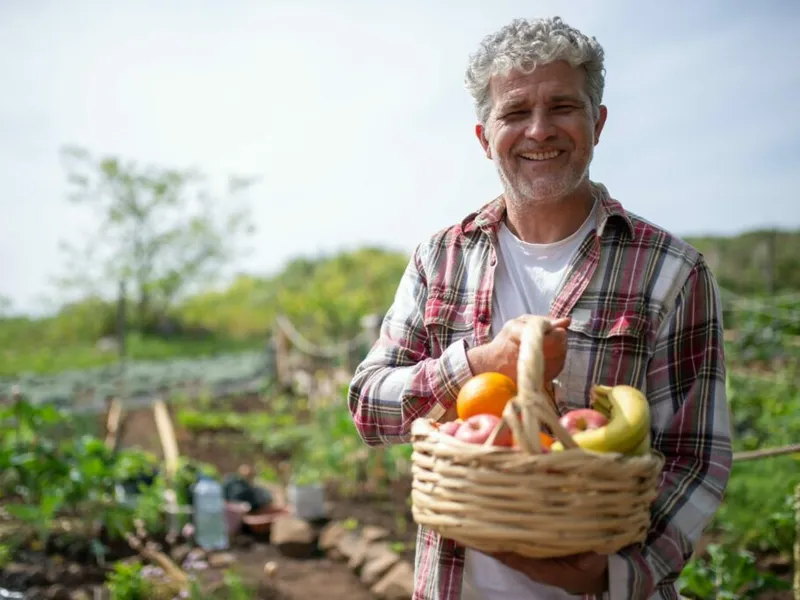 Aufbewahrungskorb - die besten 8 im Vergleich