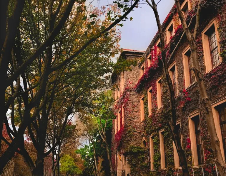 Auslandsstudium Afrika